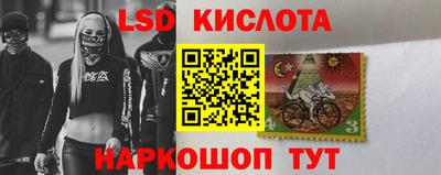 spice Новозыбков