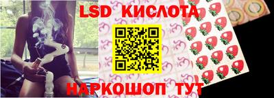spice Новозыбков
