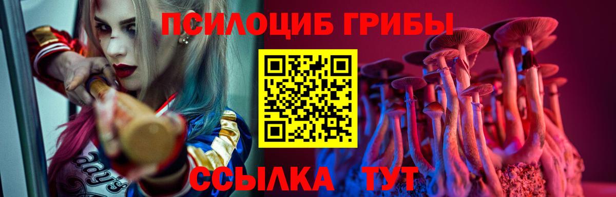 Галлюциногенные грибы Psilocybine cubensis Симферополь